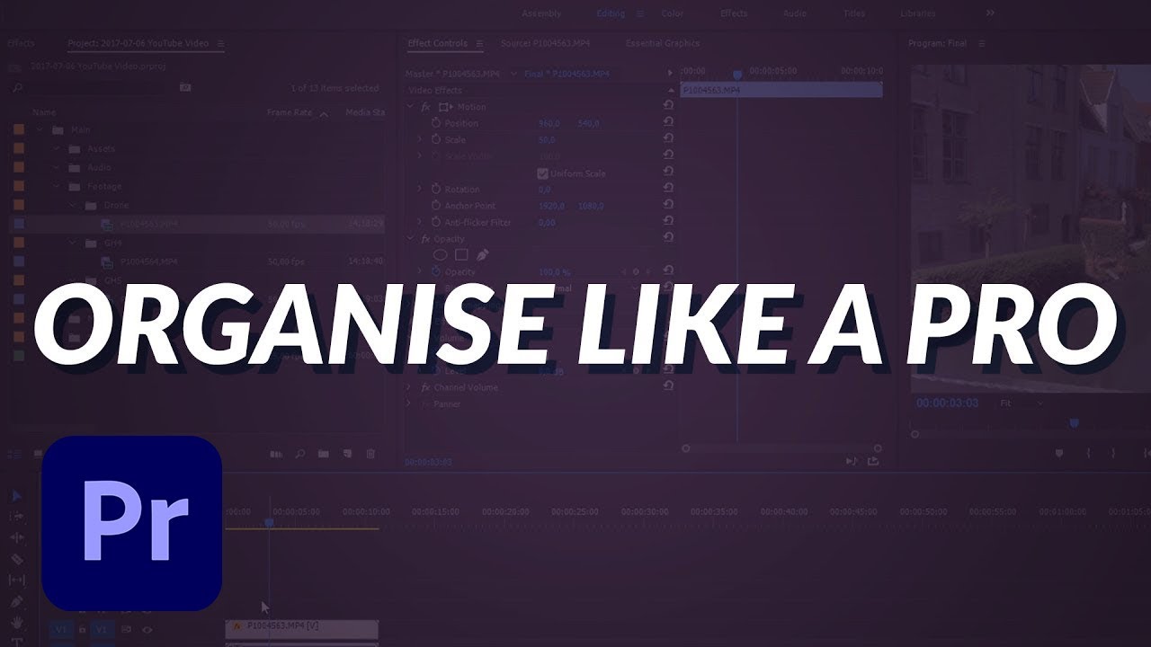 How To Organise Your Video Projects Like a True Pro! Optimize Your Wor ...