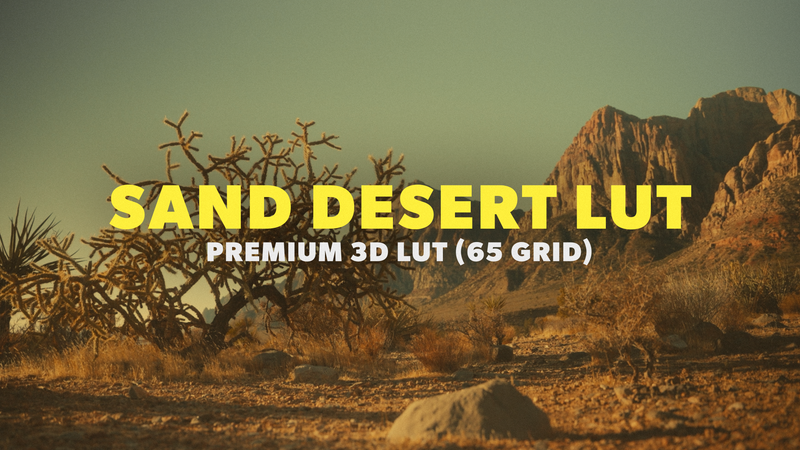 Western LUT 09