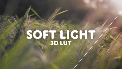 3D LUT Soft Light