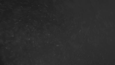 Floating Dust Particles 15