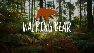 Animated Scribble Intro Bear Wildlife