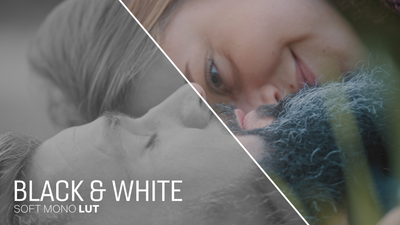 Black and White Soft Mono LUT