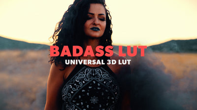 Universal LUT - Badass Overlay