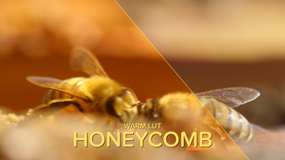 Warm LUT Honeycomb