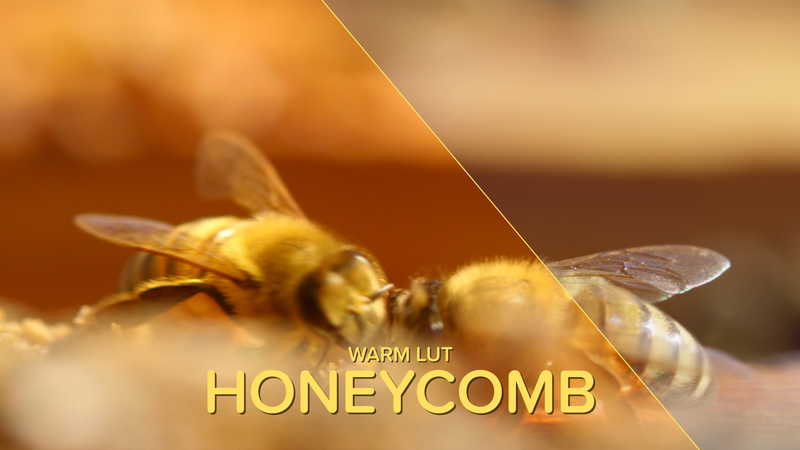 Warm LUT Honeycomb