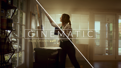 Cinematic Indie Drama LUT