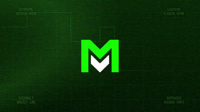 Tech Profile Display Digital Grunge Computer Screen Logo Reveal