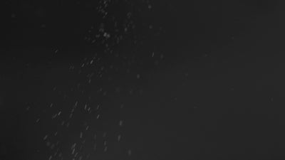 Floating Dust Particles 16