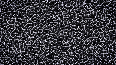 Cell Mosaic Black White Animated Background