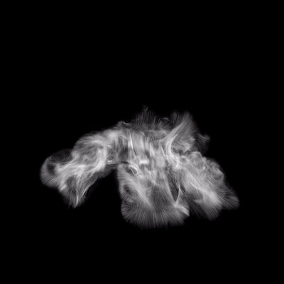 Magic Spell Energy Shockwave 10 Side Black & White