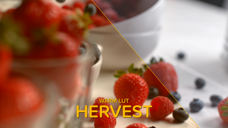 Warm LUT Harvest