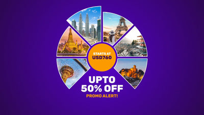 Pie Style Circle Promo Wheel Discount Alert Modern Intro
