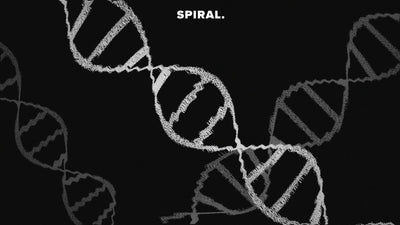 DNA Tour Visual Spiral Human Grain Element