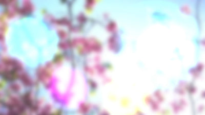 4K Light Leak Transition Pack (15 Transitions) v02