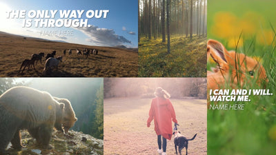 Multi Panel Info Screen With Quotes Intro Opener