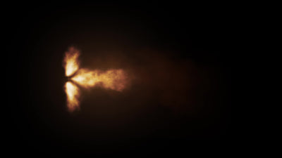 Gun Muzzle Flash Fire Arm AR 10