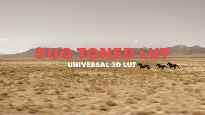 Universal LUT - Duo Toned Overlay