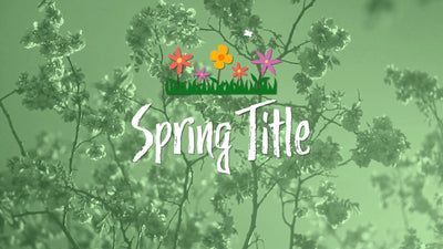 Spring Season Flowers Grass Scribble Title Intro