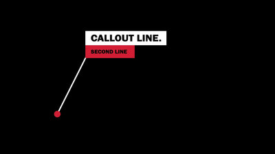 Modern Clean Call Out Title Pop Up Info Variation