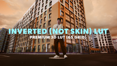 Inverted Except Skintones LUT