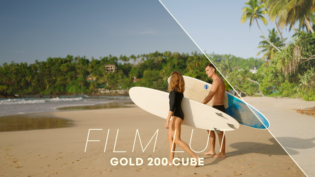 Gold 200.Cube Film LUT