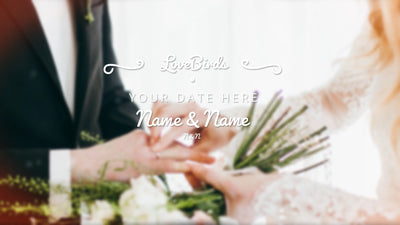 Elegant Rainbow Colored Wedding Particles Celebration Slideshow