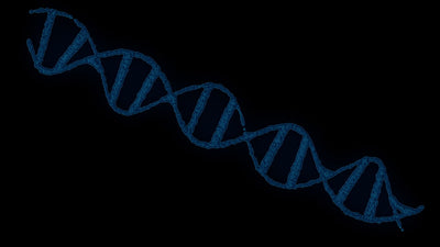 Hollywood HUD DNA