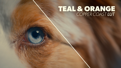 Teal and Orange Copper Coast