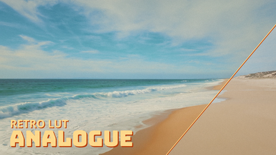 Retro LUT Analogue