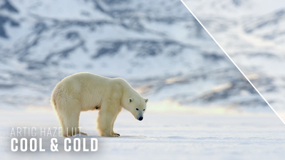 Cool and Cold Arctic Haze LUT