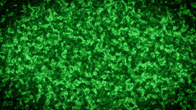 Forest Green Moss Background