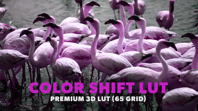 Color Shift LUT 04