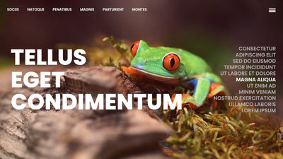 Interactive Design Scroll Function Slideshow 02