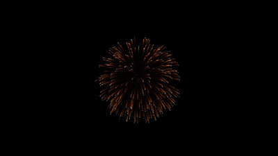 Firework Element Transparant Brocade