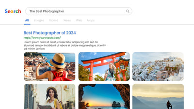 Portfolio Search Bar Internet Result Website Multi Panel Grid 01