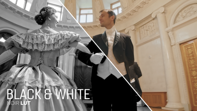 Black and White Noir LUT