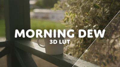 3D LUT Morning Dew