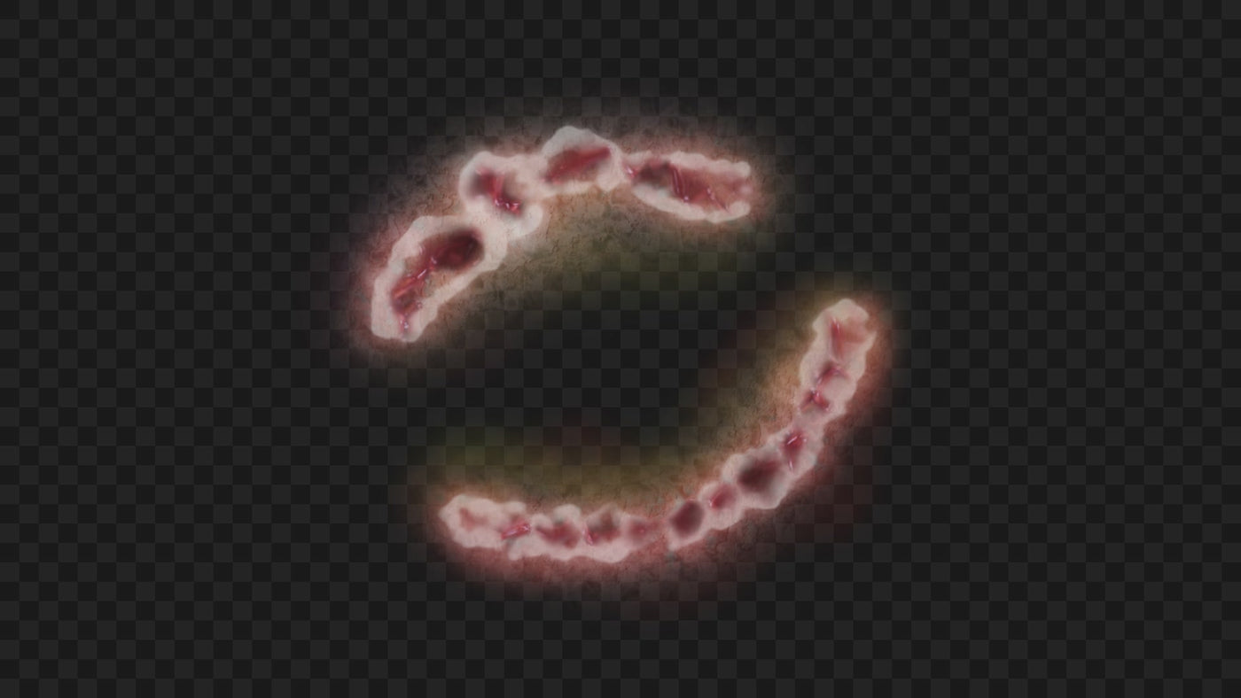 Bite Mark Skin Injury 02