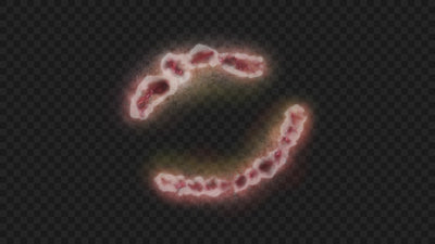 Bite Mark Skin Injury 02