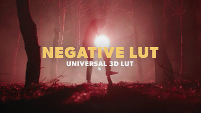 Universal LUT - Negative Overlay
