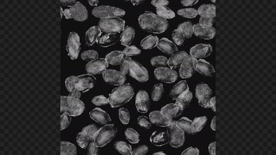 Seamless Fingerprints Real Texture Grunge 02