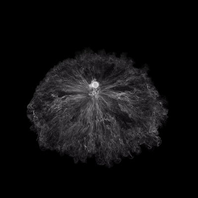 Magic Spell Energy Source 11 Black & White