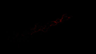 Realistic Blood Splatter Side 13