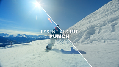 Punch Essentials LUT