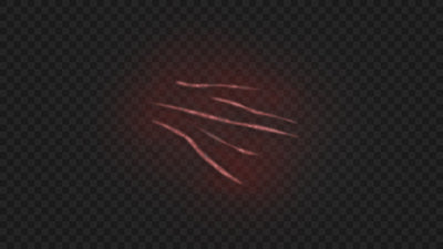 Light Animal Scratch Skin Injury 02