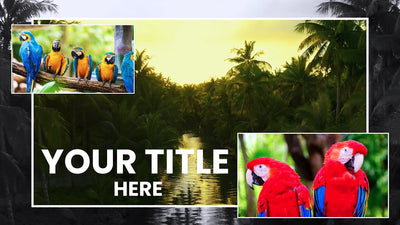 3D Effect Picture Cards Slideshow