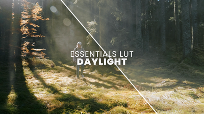 Daylight Essentials LUT