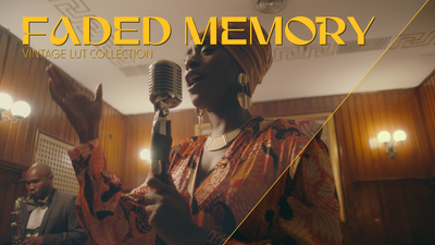 Vintage LUT Collection Faded Memory