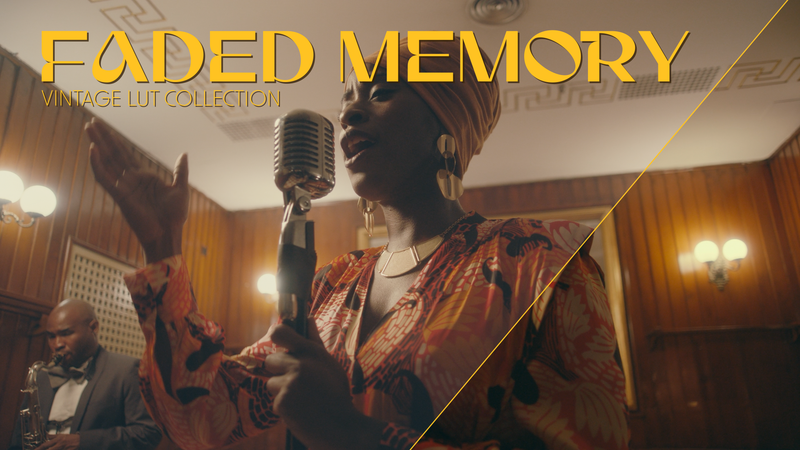 Vintage LUT Collection Faded Memory