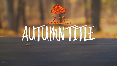 Autumn Season Leaves Falling Scribble Title Intro